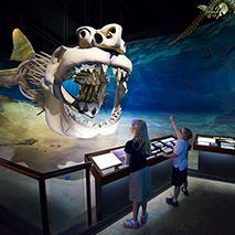 Calvert Marine Museum