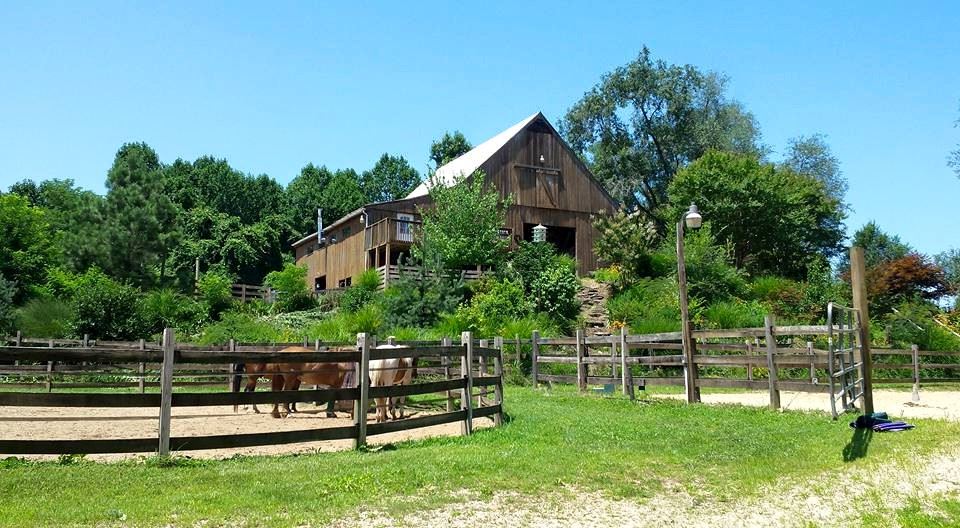Barn on a hill and horses in a lower fenced area at Canaan Farms