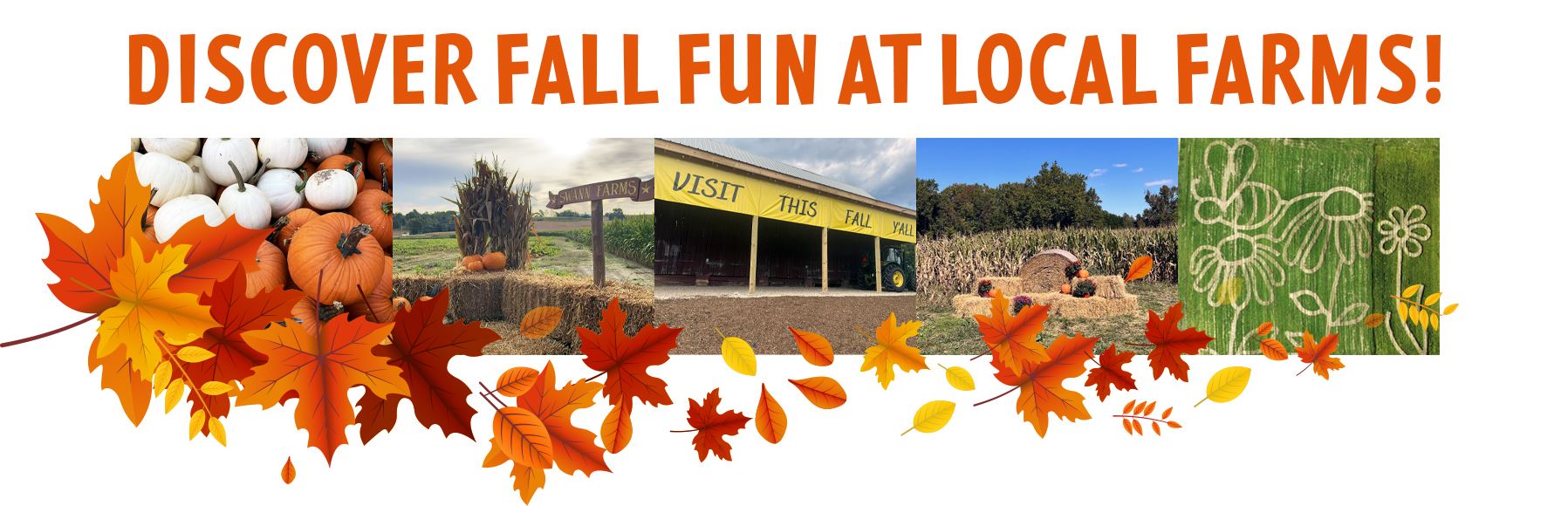 Various images of fall events at Calvert County farms.