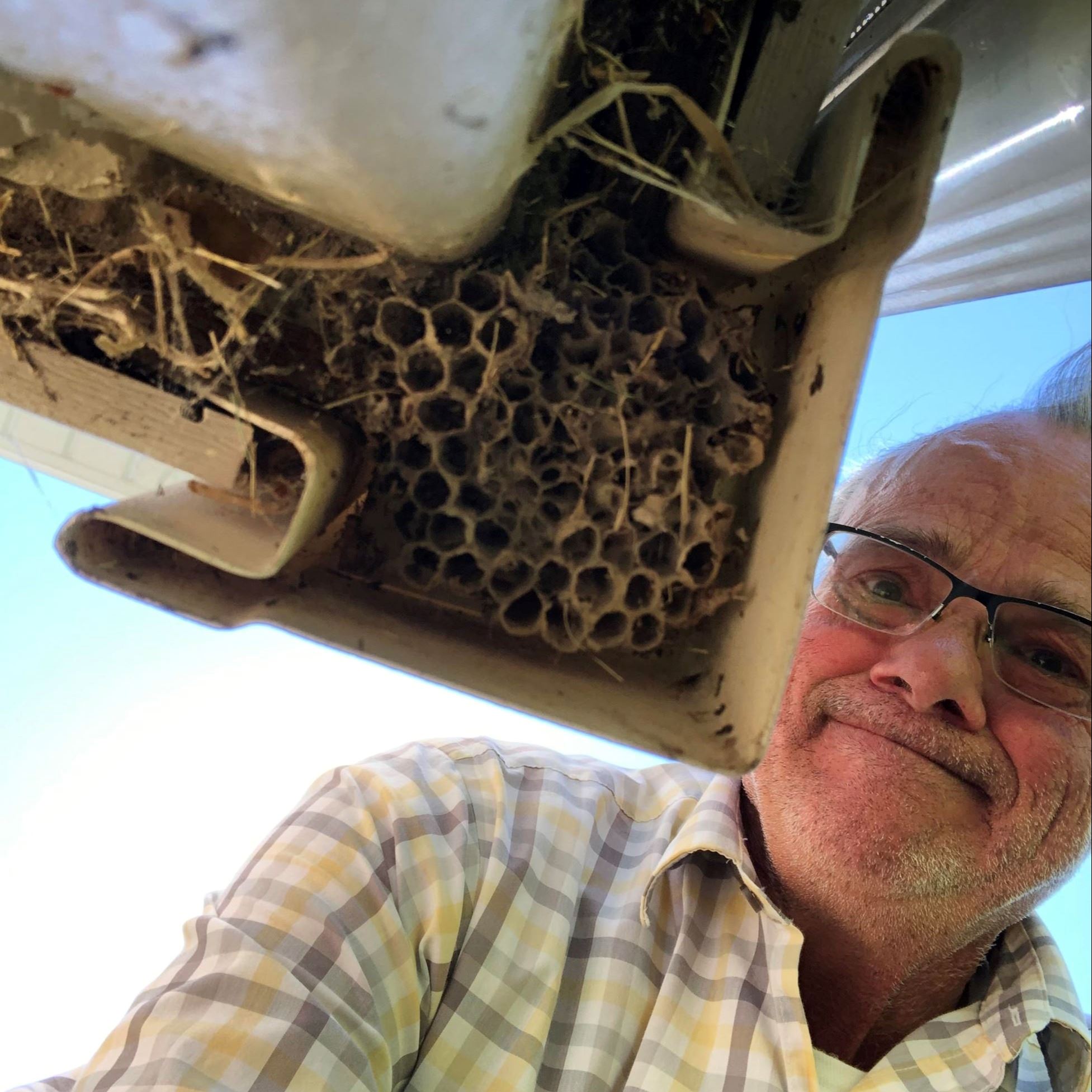 Man in glasses with wasp nest