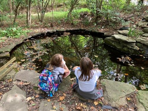 Children looking at pond at Battle Creek