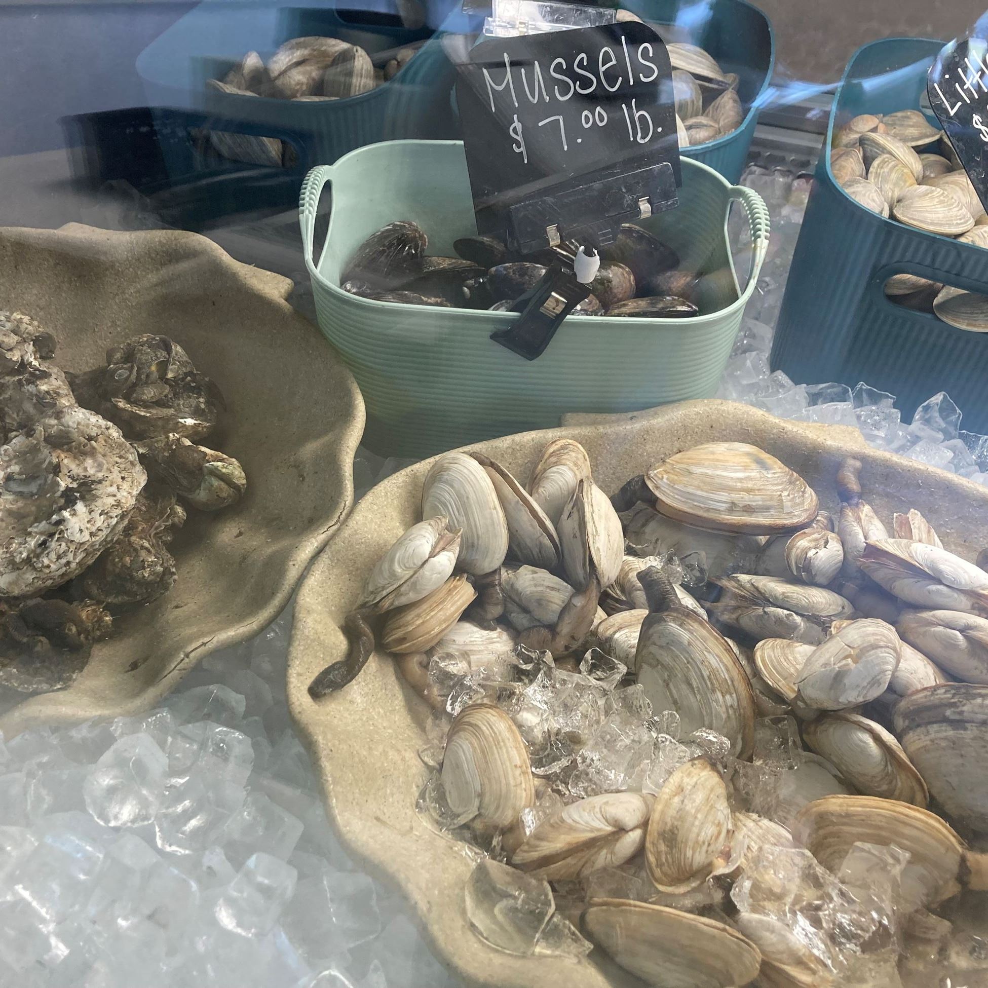 mussels and littleneck clams in display case on ice
