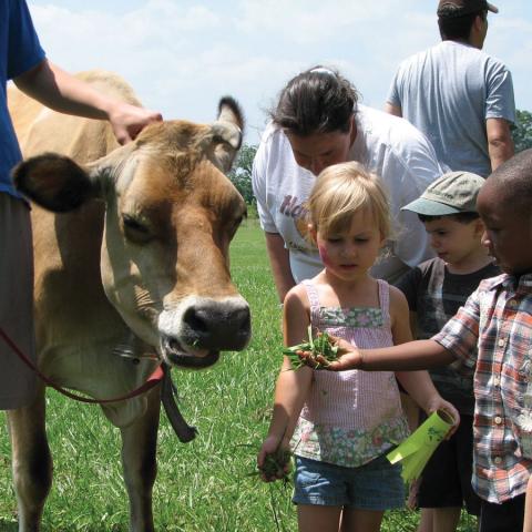 Children and Cow